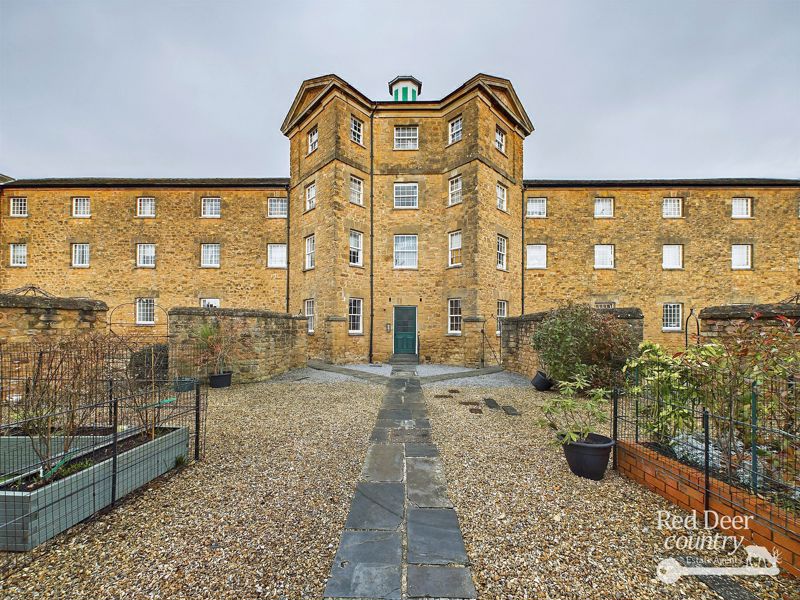 Main Image